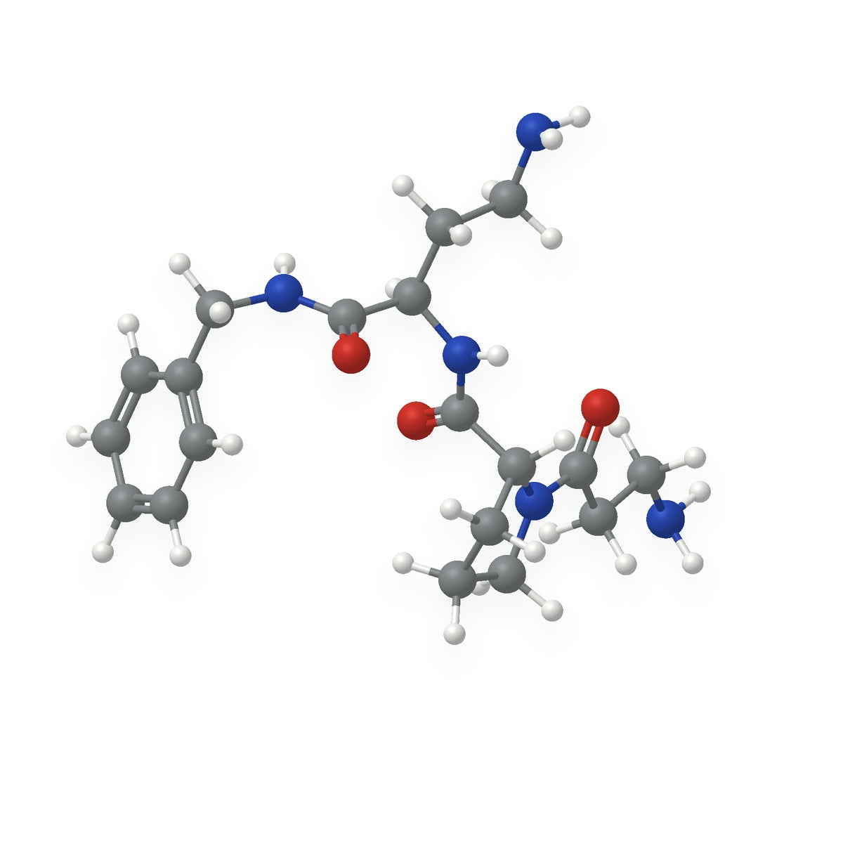 Ball-and-stick model of the parent peptide: grey carbon, blue nitrogen, red oxygen and white hydrogen