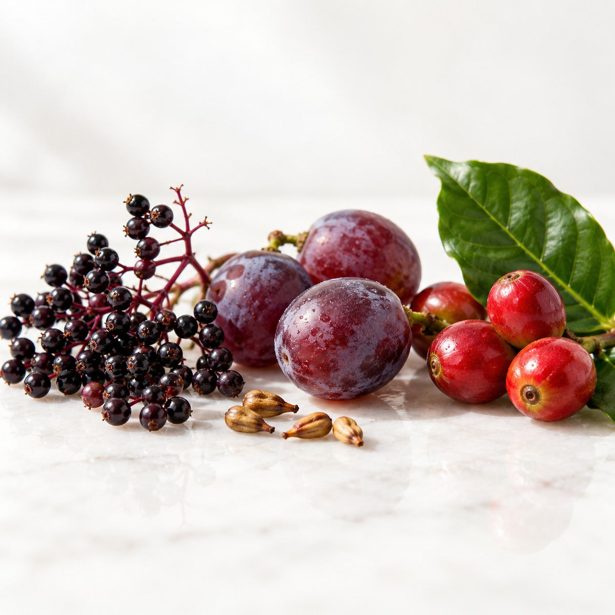 
Elderberries, grapes with grape seeds, and red coffee fruit with a green leaf